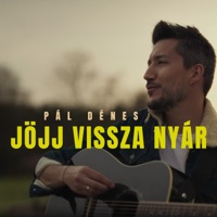Jöjj vissza nyár