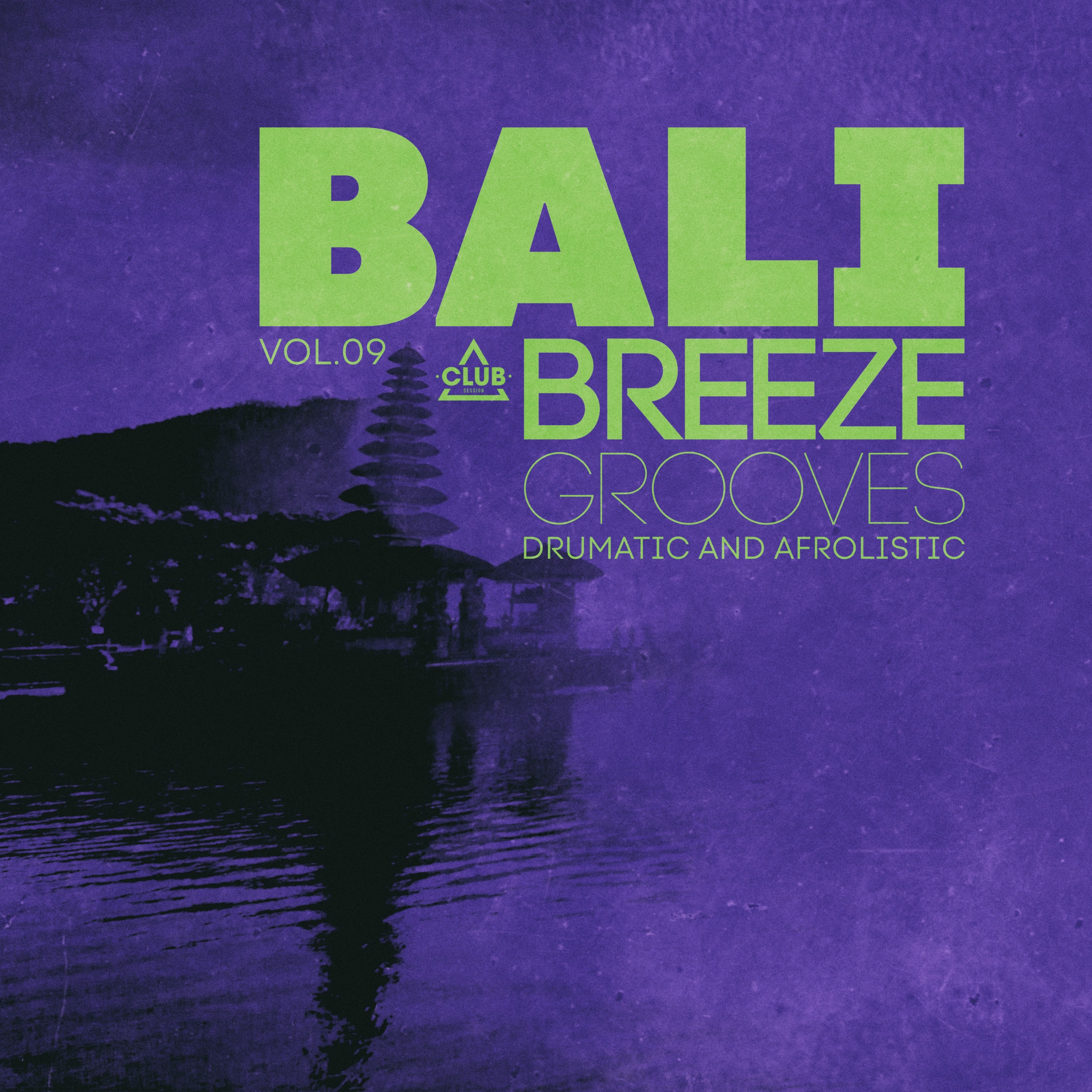 Bali Breeze Grooves, Vol.09