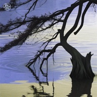 talisman - Single - bashful