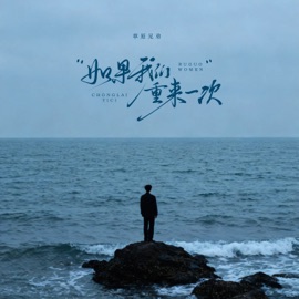 如果我们重来一次 (节奏版) 草原兄弟