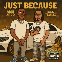 Just Because (feat. Tswizz) - Single - AMGARCO