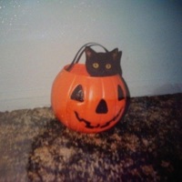 October - Single - Foreign Forest