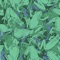 Haunted - Matthew Logan Vasquez lyrics