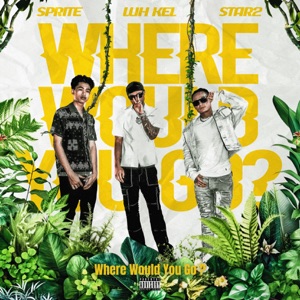 Where Would You Go? (feat. Luh Kel & SPRITE)