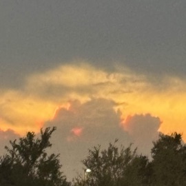 Drain paigemybeloved