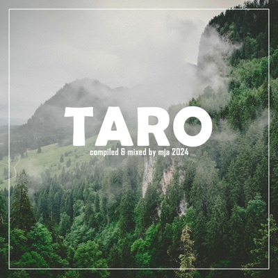 Taro (DJ Mix)