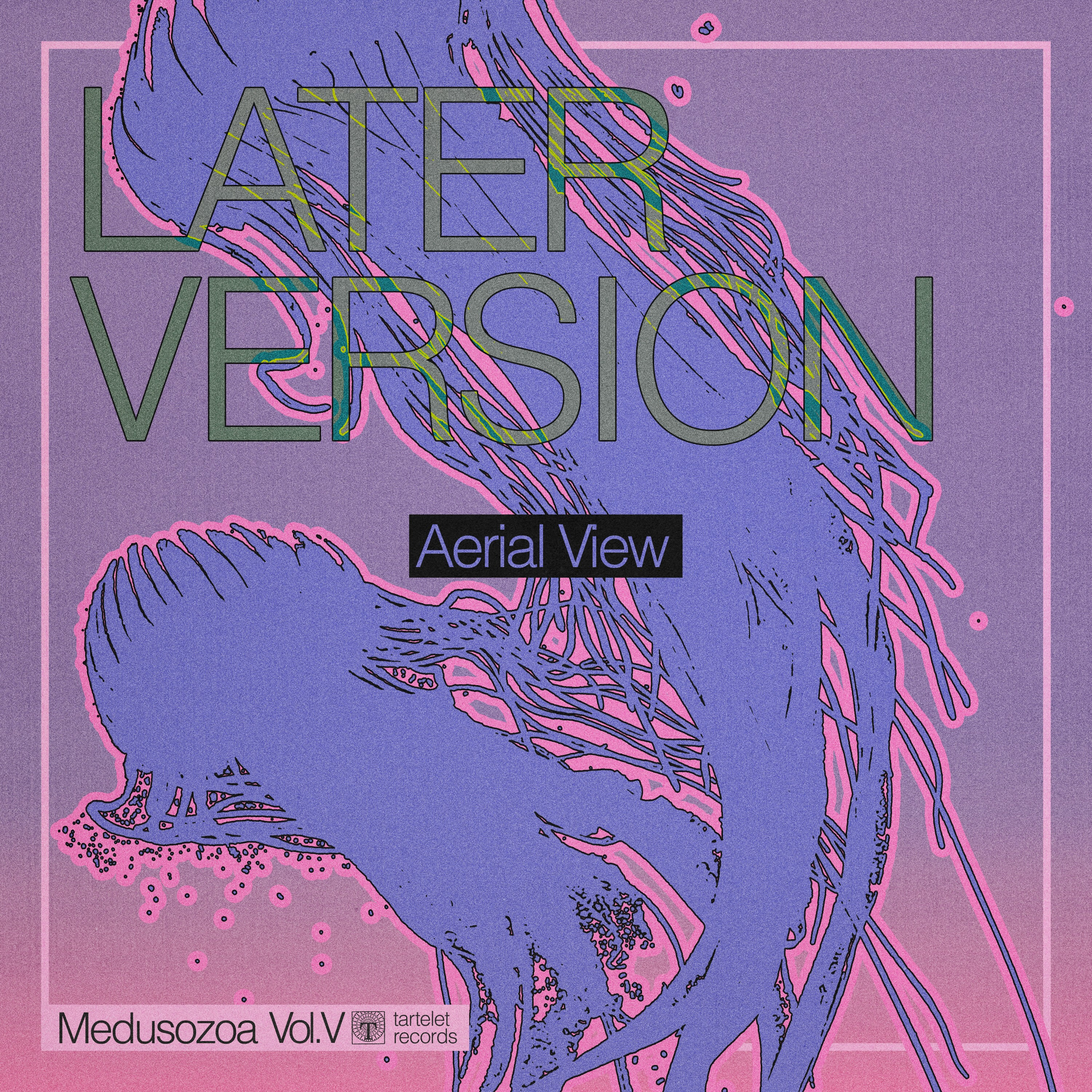 Aerial View - Single