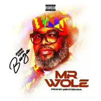 Mr Wole — Jesse King Buga