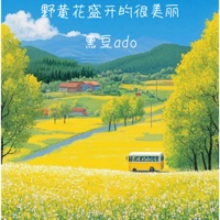 野黄花盛开的很美丽 - Single - 黑豆ado