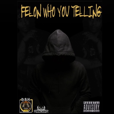 Felon who you telling