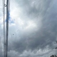 how it go (feat. JKJMETASCO) - Single - BL4NK RADIO