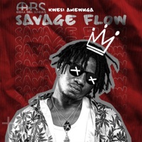 Savage Flow - Single - KWESI AMEWUGA