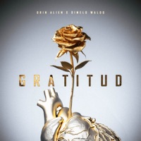 Gratitud - Single - Drin Alien & Dimelo Waldo