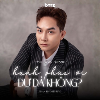 Hạnh Phúc Ơi Dư Dả Không? (Tạo Rain Remix) - Single