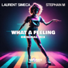 What a Feeling - Laurent Simeca & Stephan M