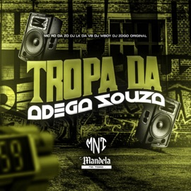 Tropa da Adega Souza (feat. Dj lk da VB, DJ WBOY & MC RD DA ZO) DJ Zogo Original