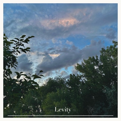 Levity - Single
