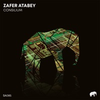Consilium - Single - Zafer Atabey
