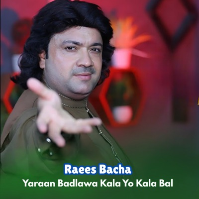 Yaraan Badlawa Kala Yo Kala Bal - Single