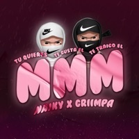 Tu Quieres Mmm Te Gusta El Mmm Te Traigo El Mmm (feat. Griimpa) - Single - Naiky Dj