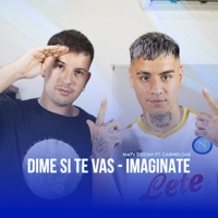 Dime Si Te Vas / Imaginate (feat. CARMELO 49) - Single - Maty Deejay