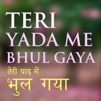 TERI YADA ME BHULGAYA - Single - HARISH MAHARA