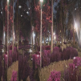 pretty when u cry Dxniel Idk & Zokoo