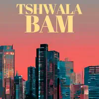 Tshwala Bam — Brendan Ross