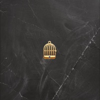 Złota klatka - Single - Maciej Spons