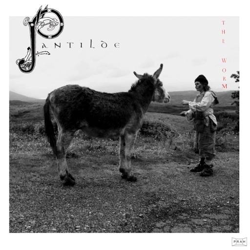 Album artwork