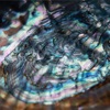 Supernova
