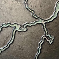 Aguas da Amazonia: Negro River (feat. Constance Volk) - Single - Third Coast Percussion