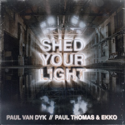 Shed Your Light - Single