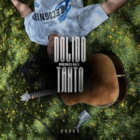 DolidoPeroNoTanto - Single - rrrob