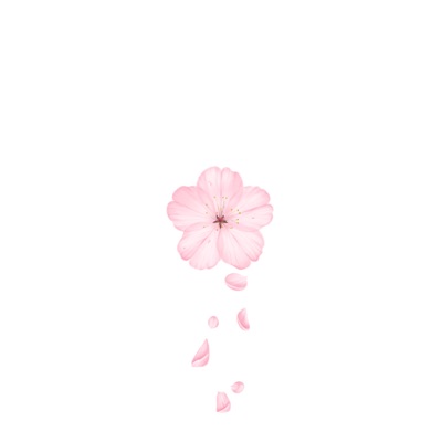 L4L - Single
