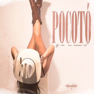 Pocotó - Single