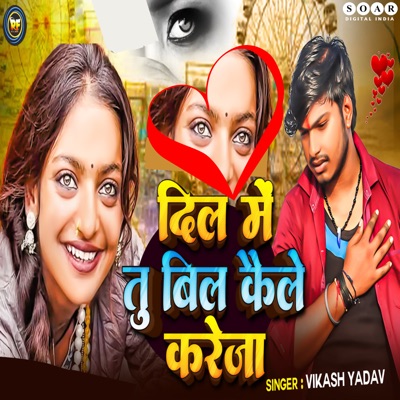 Dil Me Tu Bil Kaile Kareja - Single