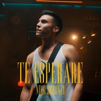 Te Esperaré - Single - Nico Scrinzi