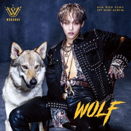 FACE (Instrumental) WOOSUNG