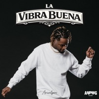 LA VIBRA BUENA - Single - Anivelpro