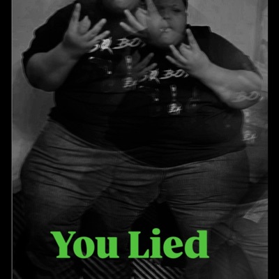 You lied (feat. Boodah) - Single