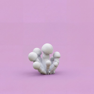 Physical - Single