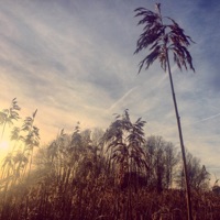 Hero - Single - Ane Brun