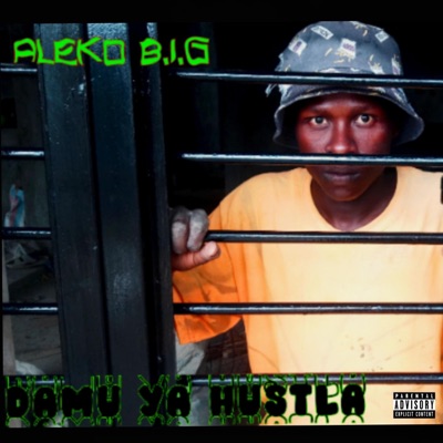 DAMU YA HUSTLA