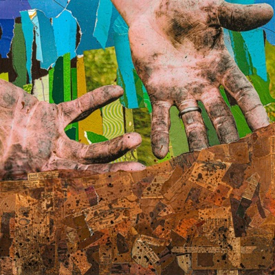 Seeds And The Creatures That Eat Them