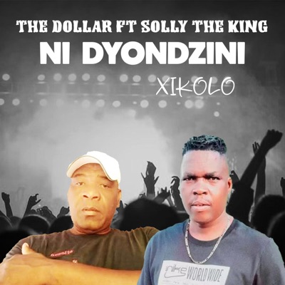 Ni Dyondzini Xikolo (feat. Solly The King) - Single
