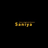 Saniya artwork