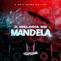 A Melodia do Mandela - DJ Gordinho Da VP
