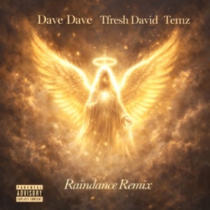 Raindance (Remix) [feat. Temz] - Single