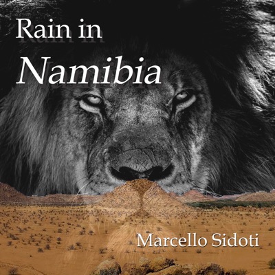 Rain in Namibia - Single
